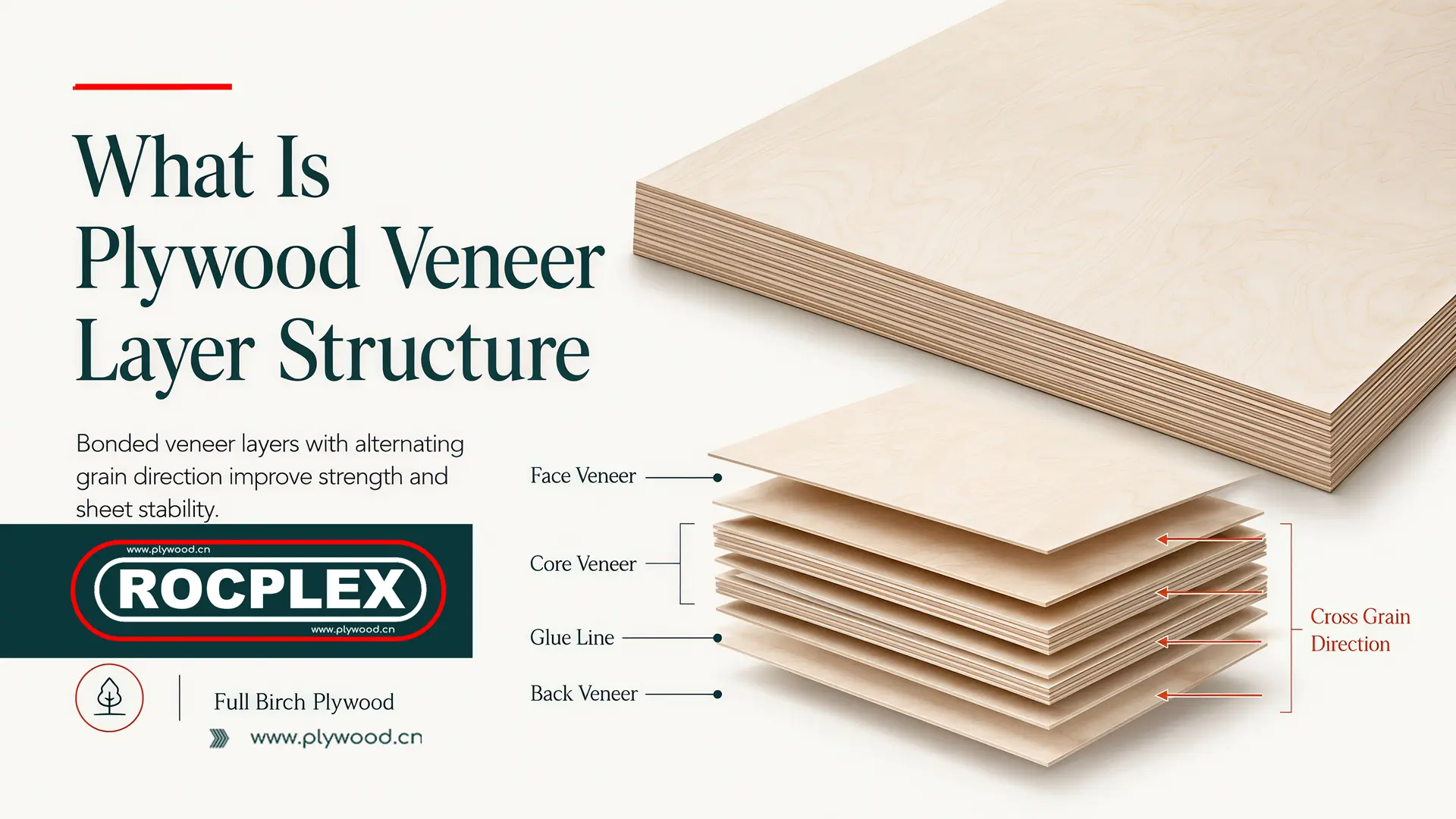 Plywood veneer layer structure showing face veneer, core layers, glue lines, and crossed grain direction